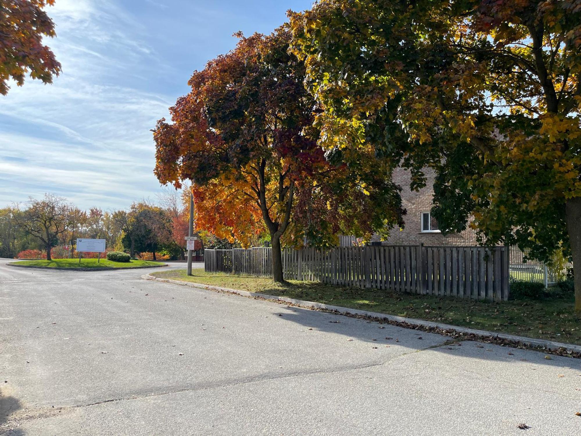 Comfort Rooms Near Toronto Airport Μισισάουγκα Εξωτερικό φωτογραφία