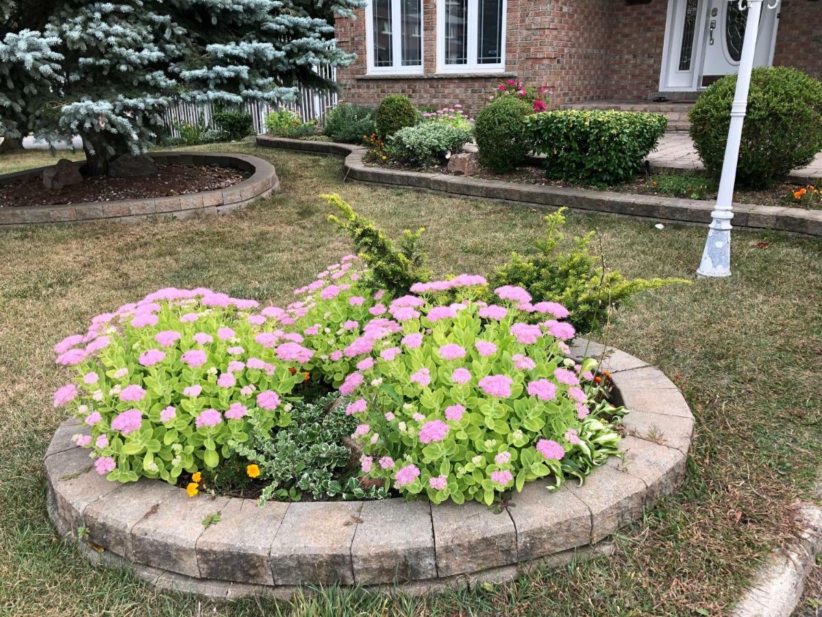 Comfort Rooms Near Toronto Airport Μισισάουγκα Εξωτερικό φωτογραφία